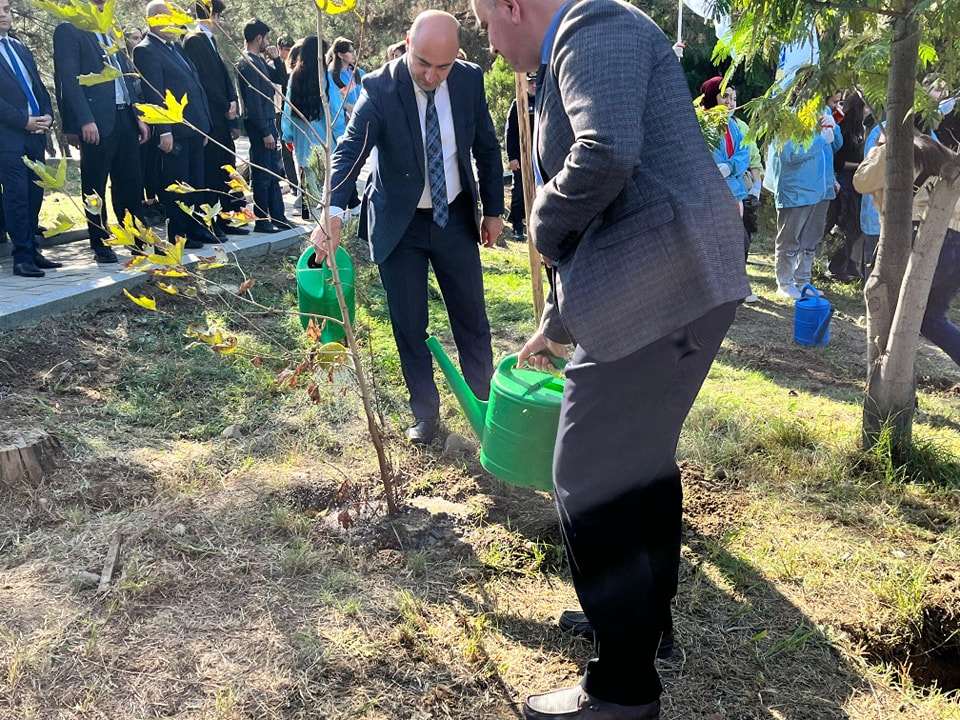 Ağacəkmə aksiyası keçirilib