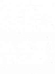 9031696366132.png